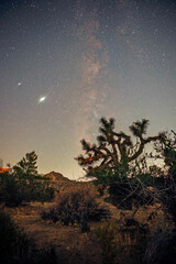Milky Way in Desert