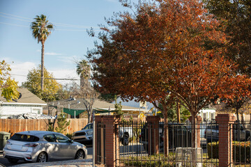 Lomita, California, USA - November 25, 2022: Afternoon sun shines on a residential neighborhood...