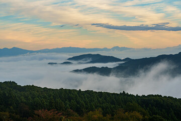 美の山公園の雲海