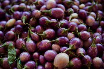 Pile of purple eggplant