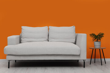 Comfortable sofa and houseplant on coffee table indoors. Interior design