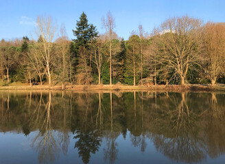 Beautiful Ataturk Arboretum view in Sariyer, Istanbul, Turkey.