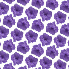 Padrão formado com flor de cor violeta, png.