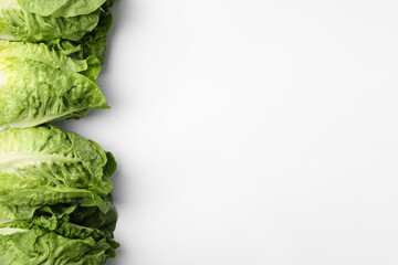 Fresh green romaine lettuces isolated on white, top view