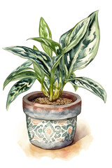 Watercolor Chinese Evergreen Plant in Pot for Serene and Natural Home Decor. Generative AI