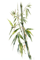 Fototapeta na wymiar Watercolor Bamboo Plant Illustration for Zen and Tranquil Home Decor. Generative AI