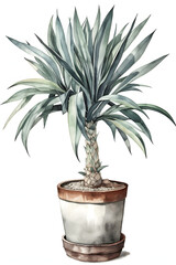 Watercolor Illustration of Yucca Plant for Minimalist Home Decor. Generative AI
