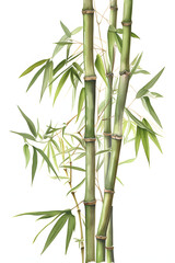 Watercolor Bamboo Illustration for Serene and Natural Home Decor. Generative AI