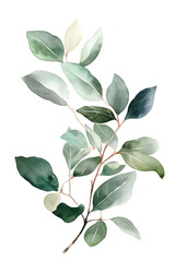 Fototapeta premium Watercolor Apple Tree Illustration for Natural and Wholesome Home Decor. Generative AI