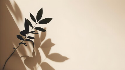 minimalist abstract leaves and wall background with shadows, made with generative ai
