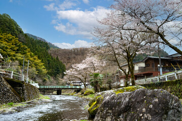 養沢の風景