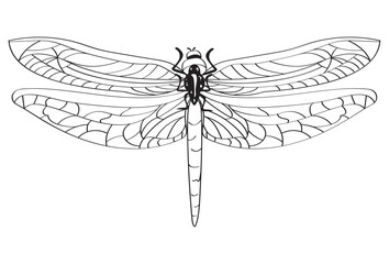 dragonfly animal monochrome style