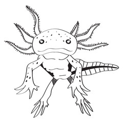 axolotl animal monochrome style