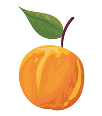 orange fresh fruit healthy