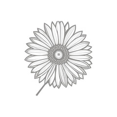 Wonderful flower. Vector illustration. Coloring book page for adult.Sunflower coloring line art.