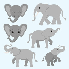 set of elephant animals
