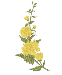 Flower garland. Cherry, hawthorn, kerria. Compositions with plant elements. Vintage illustration. Spring concept. Sketch style.