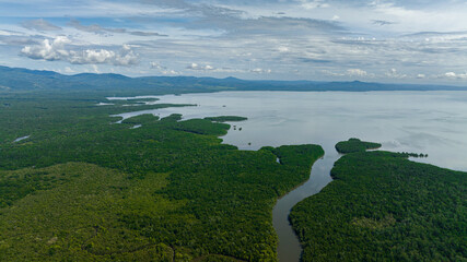 Top view of mangroves on the coast of the island of Borneo and the sea. Reserve with mangroves. Malaysia.