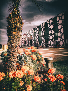 Flower in front of the airport