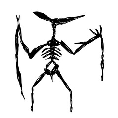 black and white pteranodon skeleton © shannon