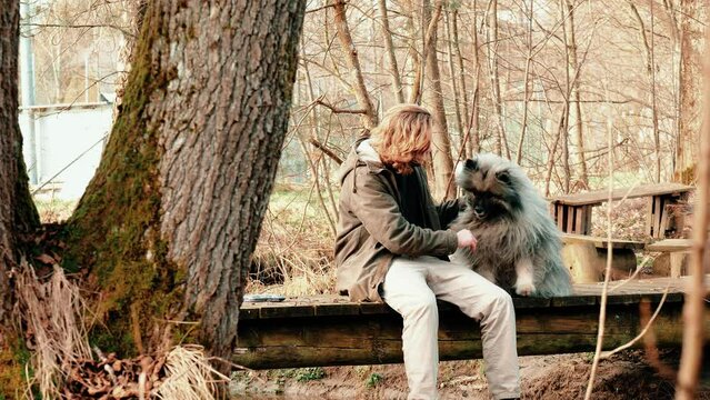 Give me five! A gray, cute wolf spitz gives his friend a high five. They sit on a small wooden bridge in an idyllic autumnal forest edge. A small stream flows beneath you.