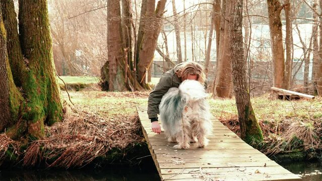 a somewhat dirty gray wolf spitz just playing with his friend. They are on a small wooden bridge that runs over a stream. In the background you can see thick brown trees in autumnal surroundings.