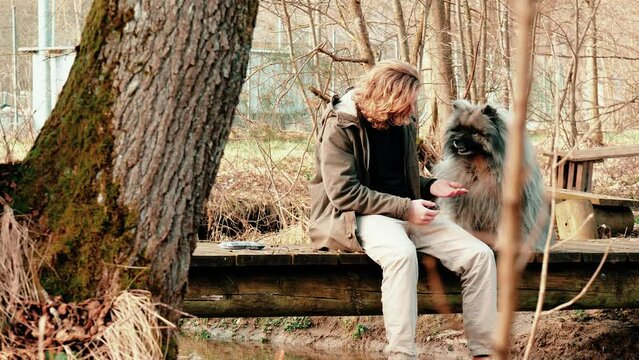 Sitting over a small stream, two friends, a gray wolf spitz and a blond man, spend their evening together. The man wants the paw of the young dog, but the dog looks at the man rather questioningly.