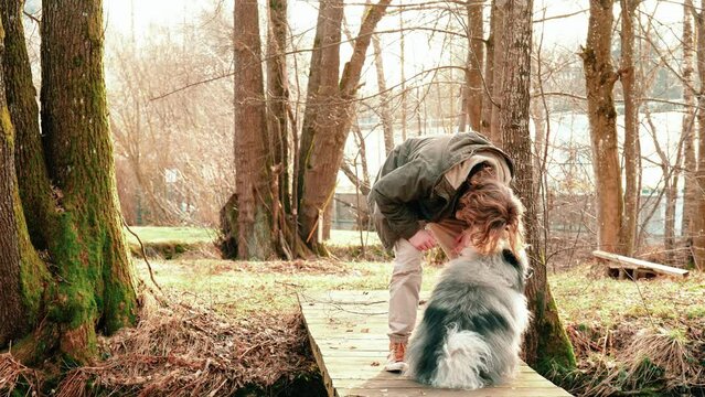 Sweet friends. The young blond man with curly hair bends over his dog and wants to give him a kiss. The gray fluffy wolf spitz wags his tail a little and stretches out to him for a moment.