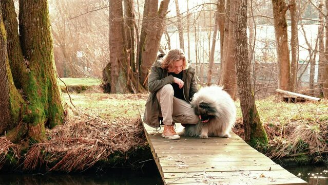 Two friends are sitting on a bridge in a small autumnal forest, under which a small stream flows. The gray wolfsspitz and enjoys with relish a treat from his best friend.