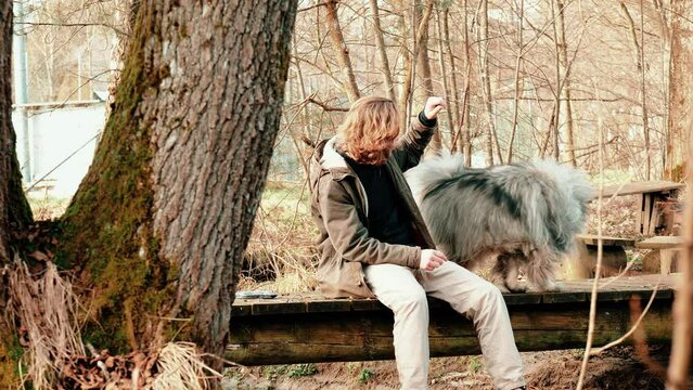 An excellently executed turn is shown here by a gray and very fluffy wolf spitz. This is commanded by his friend, who wears medium-length blond hair. They are both sitting on a bridge over a stream.