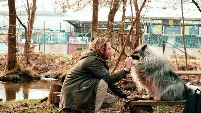 A cut full of love. A gray fluffy wolf spitz and his friend, a blond young man, give each other the paw. They sit opposite each other in an autumnal atmosphere. They look very skilled.