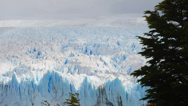Perito Moreno Glacier,  in Argentina, Andean Cordillera, Los Glaciares National Park natural amazing landscape vegetation