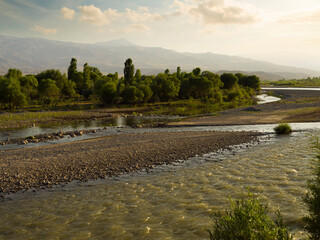 River and stream bed. The view of a river with reduced water. Vegetation along the stream. Sunset time, summer season. drought problem