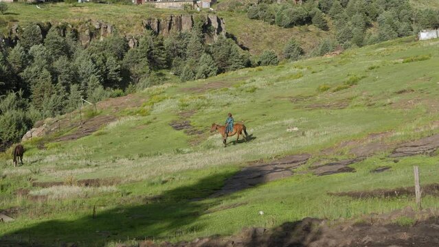 Man on horseback rides down grass hill to retrieve horse in Lesotho