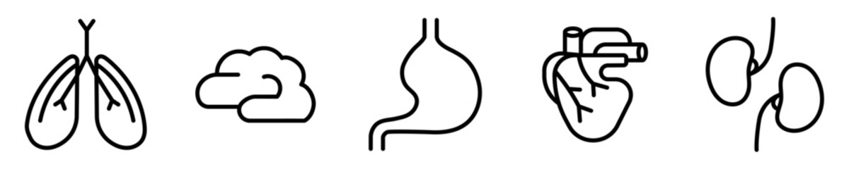 Conjunto de iconos de órganos. Órganos humanos, pulmones, cerebro, estómago, corazón, riñones. Ilustración vectorial