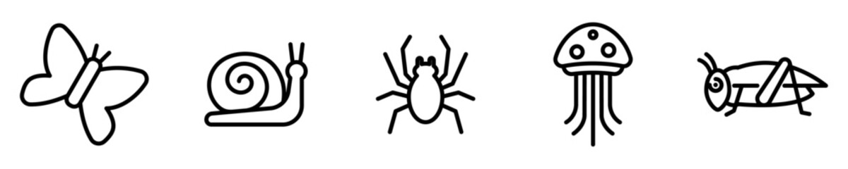 Conjunto de iconos de animales invertebrados. Insectos. mariposa, caracol, araña, medusa, grillo. Ilustración vectorial © Frank