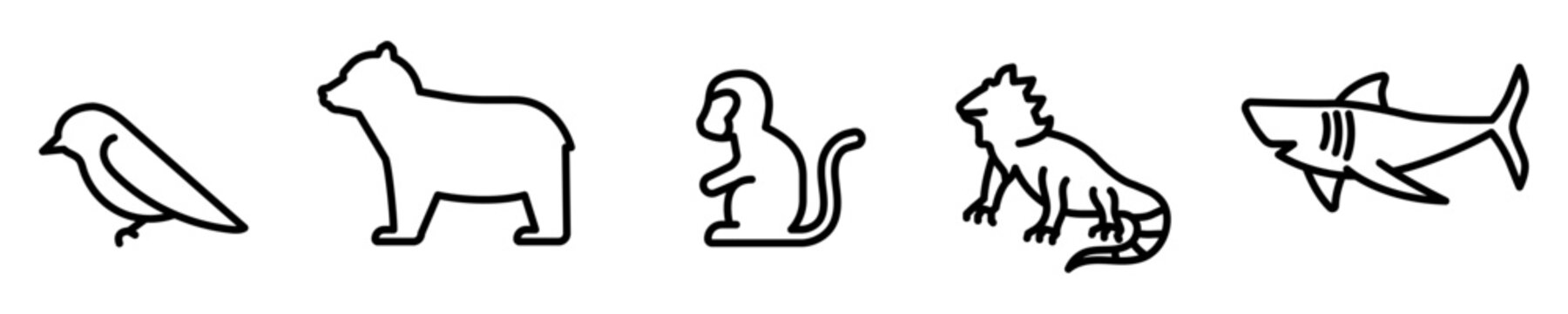 Conjunto de iconos de animales vertebrados. Ave, oso, mono, iguana, tiburón, pez. Ilustración vectorial