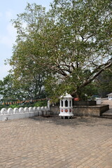 Rangiri Dambulla cave temple in Sri Lanka