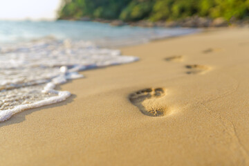 footprints on the beach