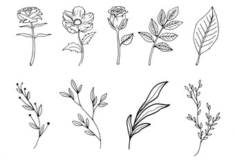 vector set of doodle flowers. A bunch of flowers. Branches, petals, flowering plants, and others. Black and white hand-drawn. A sketch of bouquets, romantic leaves. Isolated on white background.