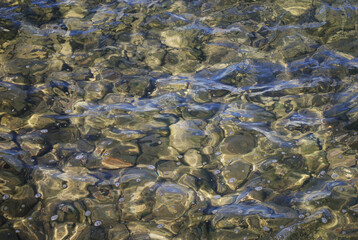 Rocky bottom in water. An apparently blurry image due to the wavy motion of the water surface.