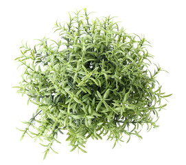 Artificial houseplant on white background, top view