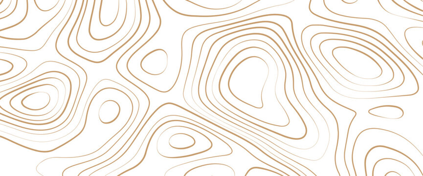 Golden topography contour lines isolated on white background. Beautiful concept vector illustrator