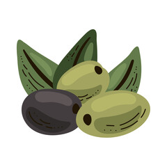 Fresh organic olives berries