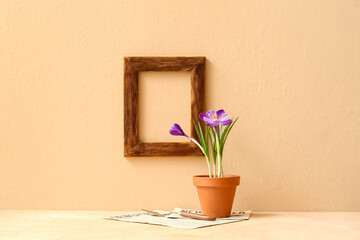 Pot with beautiful crocus flowers on table near beige wall