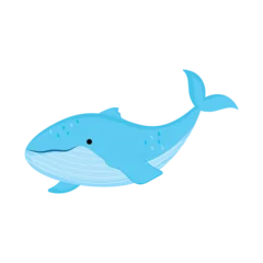 Foto op Plexiglas Cute whale swims in blue underwater world © Jeronimo Ramos
