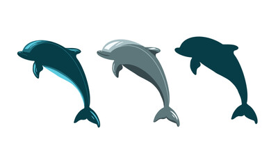dolphin vector, Dolphins graphic icons set. Signs swimming dolphins isolated on white background. Sea life symbols. Vector illustration