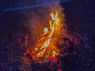 night bonfire in the field - close up