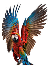 a jungle-themed photographic illustration of a blue green and orange macaw parrot in mid-flight on a transparent background in PNG. 