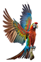 Obraz premium a jungle-themed photographic illustration of a blue green and orange macaw parrot in mid-flight on a transparent background in PNG. 